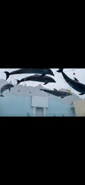 株式会社Gに投稿された画像（2020/9/27）