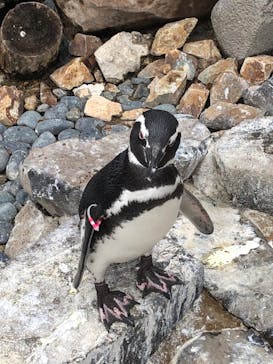 株式会社Gに投稿された画像（2020/9/27）