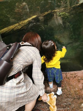 那須どうぶつ王国に投稿された画像（2020/9/27）