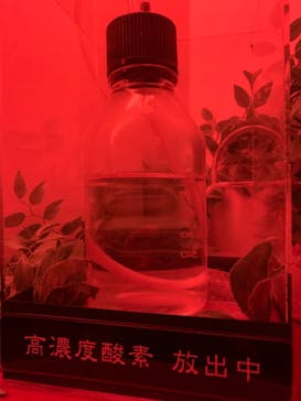 アソビュー株式会社 154200に投稿された画像（2020/9/27）