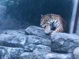 天王寺動物園に投稿された画像（2020/9/27）