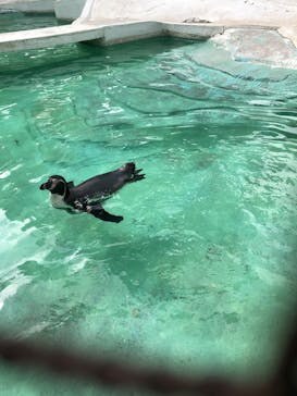 天王寺動物園に投稿された画像（2020/9/27）