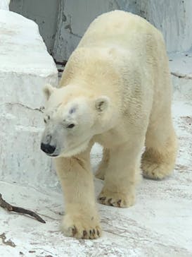 天王寺動物園に投稿された画像（2020/9/27）