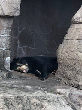 天王寺動物園に投稿された画像（2020/9/27）
