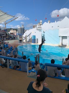 株式会社Gに投稿された画像（2020/9/27）