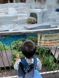 天王寺動物園に投稿された画像（2020/9/27）