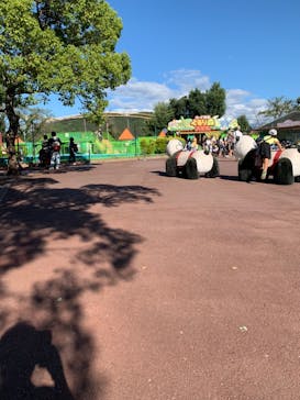 日本モンキーパークに投稿された画像（2020/9/27）