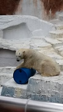 天王寺動物園に投稿された画像（2020/9/27）