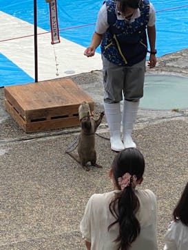 大分マリーンパレス水族館 「うみたまご」に投稿された画像（2020/9/27）