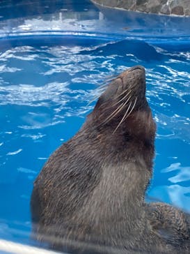 大分マリーンパレス水族館 「うみたまご」に投稿された画像（2020/9/27）