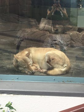 天王寺動物園に投稿された画像（2020/9/27）