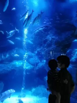 すみだ水族館に投稿された画像（2020/9/27）