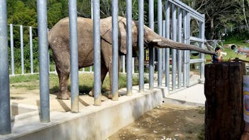 しろとり動物園に投稿された画像（2020/9/27）