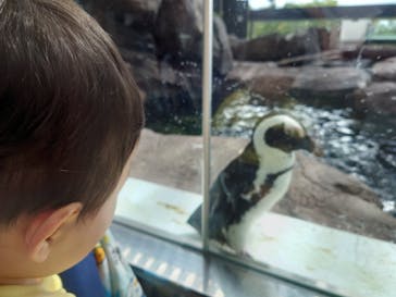 京都水族館に投稿された画像（2020/9/27）