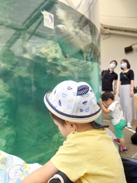 京都水族館に投稿された画像（2020/9/27）