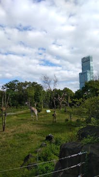 天王寺動物園に投稿された画像（2020/9/27）