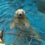 天王寺動物園に投稿された画像（2020/9/27）