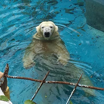 天王寺動物園に投稿された画像（2020/9/27）