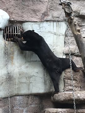 天王寺動物園に投稿された画像（2020/9/27）