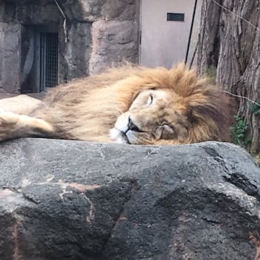 天王寺動物園に投稿された画像（2020/9/27）