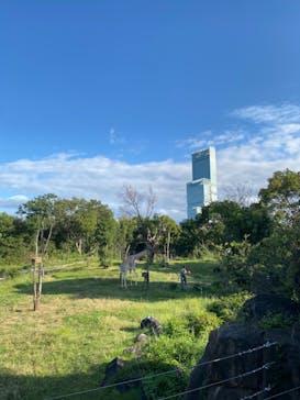 天王寺動物園に投稿された画像（2020/9/27）