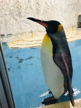 天王寺動物園に投稿された画像（2020/9/27）