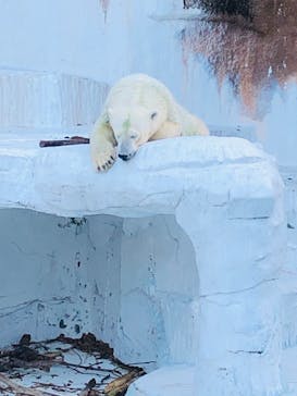 天王寺動物園に投稿された画像（2020/9/27）