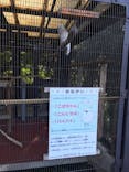 天王寺動物園に投稿された画像（2020/9/27）