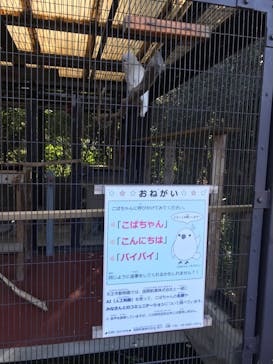 天王寺動物園に投稿された画像（2020/9/27）