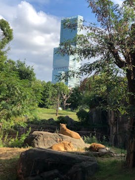天王寺動物園に投稿された画像（2020/9/27）