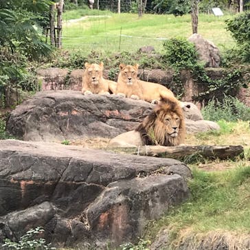 天王寺動物園に投稿された画像（2020/9/27）