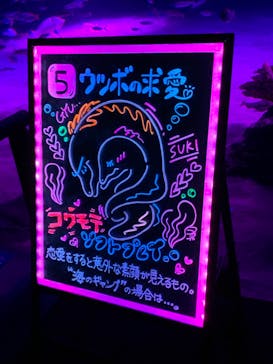 サンシャイン水族館に投稿された画像（2020/9/27）