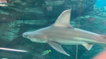 株式会社Gに投稿された画像（2020/9/27）