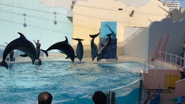 株式会社Gに投稿された画像（2020/9/27）