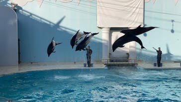 株式会社Gに投稿された画像（2020/9/27）