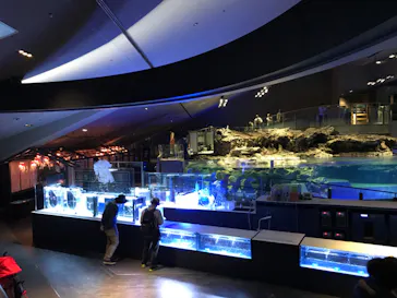 すみだ水族館に投稿された画像（2020/9/27）