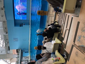 横浜・八景島シーパラダイスに投稿された画像（2020/9/27）