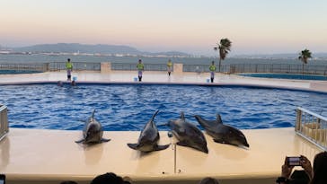 マリンワールド海の中道に投稿された画像（2020/9/27）