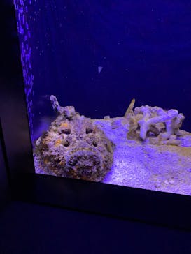 マリンワールド海の中道に投稿された画像（2020/9/27）