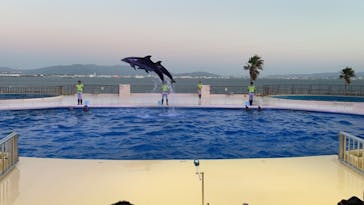 マリンワールド海の中道に投稿された画像（2020/9/27）