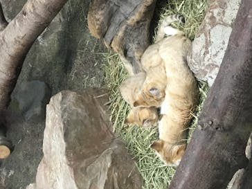 那須どうぶつ王国に投稿された画像（2020/9/27）