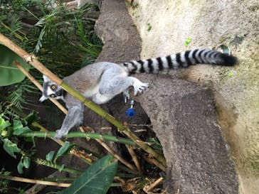 那須どうぶつ王国に投稿された画像（2020/9/27）