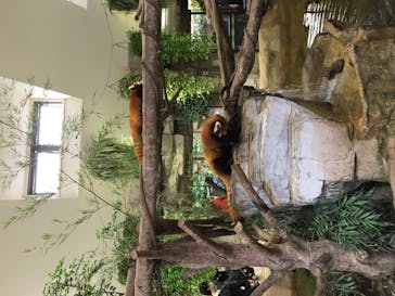 那須どうぶつ王国に投稿された画像（2020/9/27）