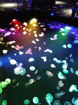 すみだ水族館に投稿された画像（2020/9/27）