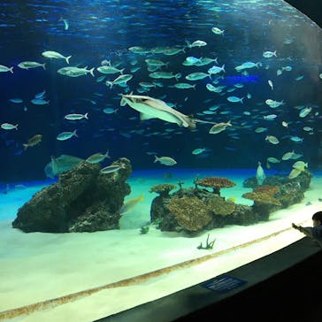 サンシャイン水族館に投稿された画像（2020/9/27）