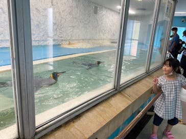 天王寺動物園に投稿された画像（2020/9/27）