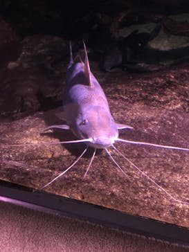 サンシャイン水族館に投稿された画像（2020/9/27）