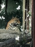 天王寺動物園に投稿された画像（2020/9/28）