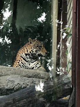 天王寺動物園に投稿された画像（2020/9/27）