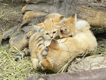 那須どうぶつ王国に投稿された画像（2020/9/28）